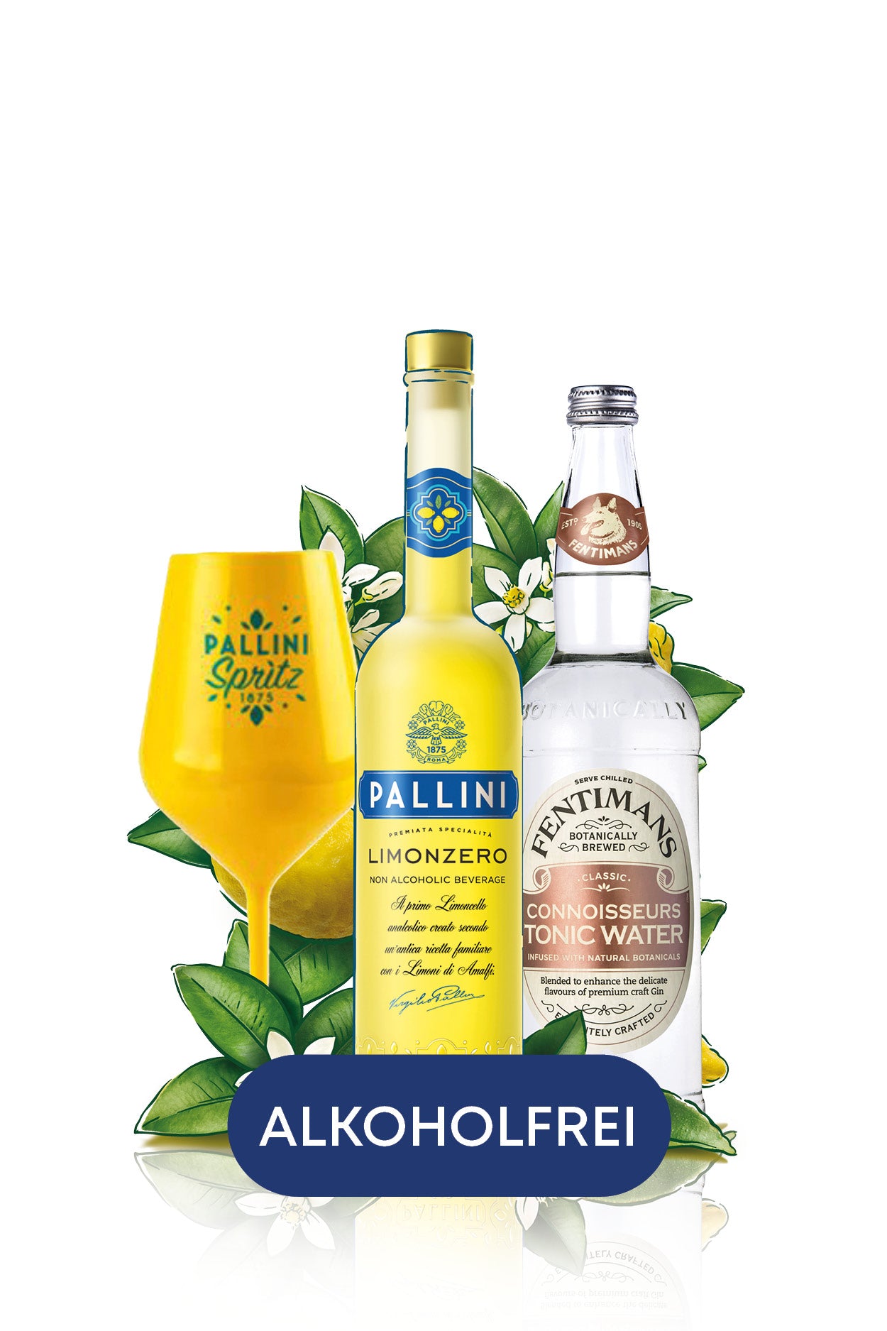 Pallini  Limonzero Tonic Paket  
